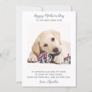 Dog Mom Personalized Pet Photo Funny Mothers Day Holiday Card