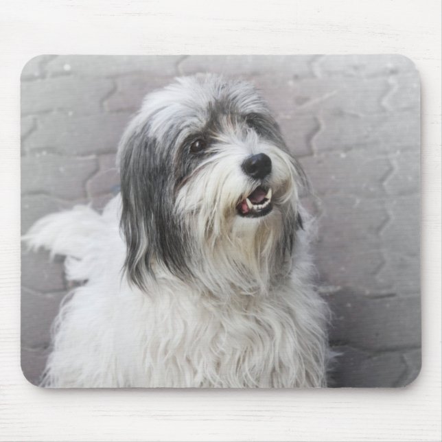 Dog Mouse Pad (Front)