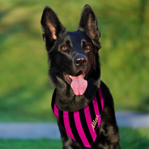 Dog Name Elegant Black Hot Pink Striped  Pet Bandana Collar