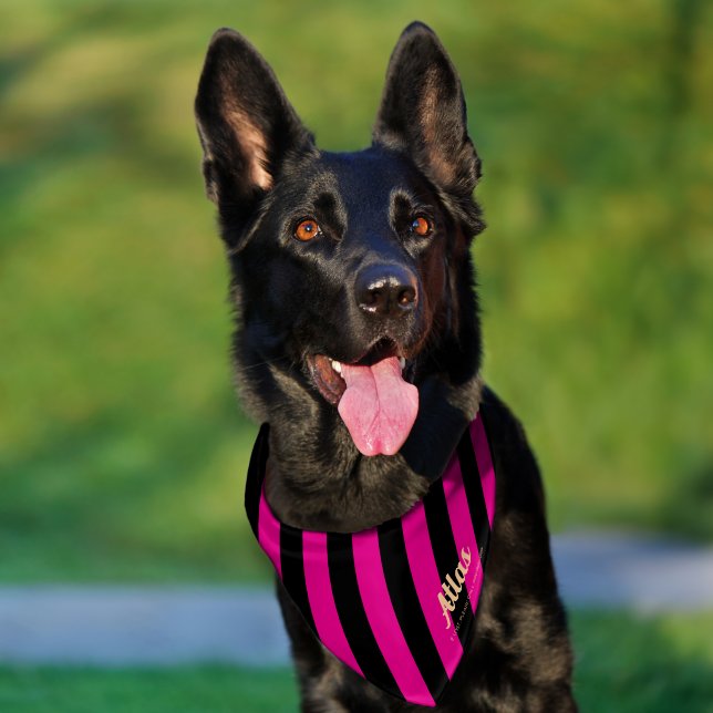 Dog Name Elegant Black Hot Pink Striped  Pet Bandana Collar (Dog)
