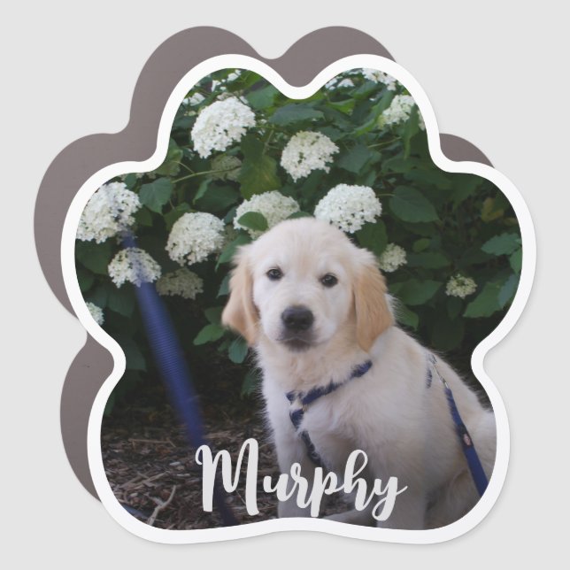 Dog Name White Script Paw Print Photo Car Magnet (Front)
