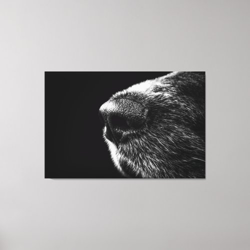 Dog Nose Canvas Print