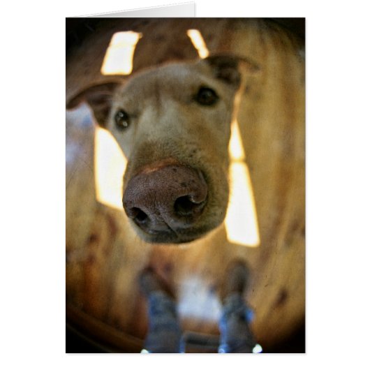 Dog Nose Customizable Card (Front)