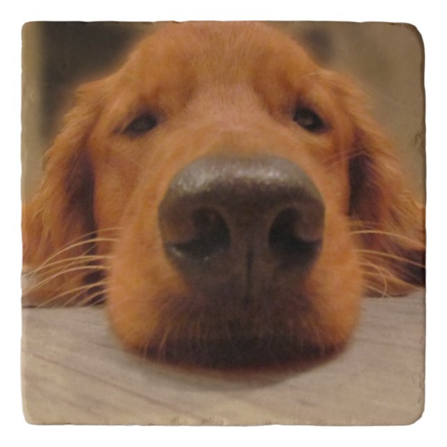 Dog Nose Trivet (Front)