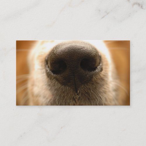 dog nose veterinary business card
