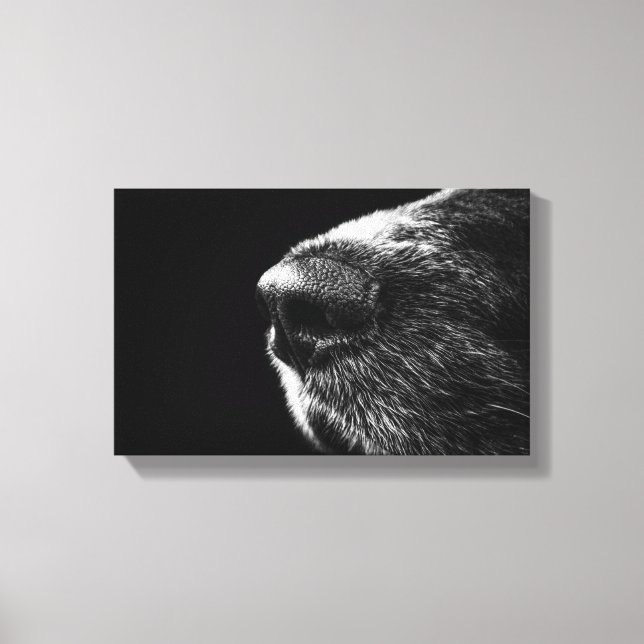 Dog Nose Wrapped Canvas Print (Front)