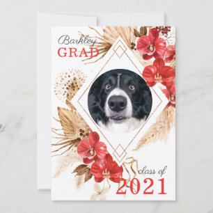 Dog Obedience Class Graduation Announcement