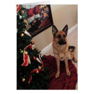 dog of German shepherd of Christmas