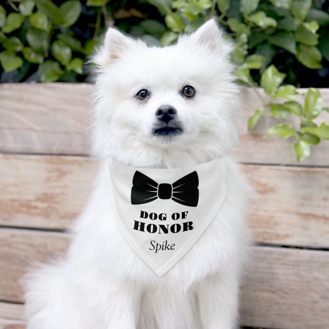 dog of honor, black bow cute funny wedding  pet bandana collar (Dog)