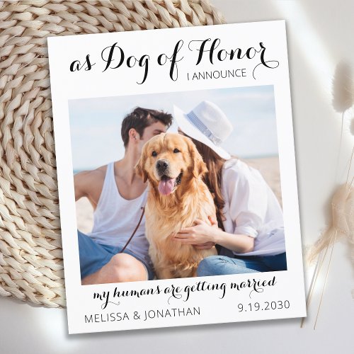 Dog Of Honor Budget Wedding Save The Date Postcard