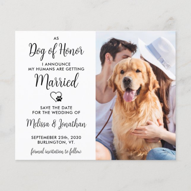 Dog Of Honor Budget Wedding Save The Date Postcard (Front)
