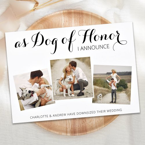 Dog Of Honor Change Of Plans Wedding Announcement