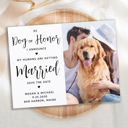 Dog Of Honor Dog Wedding Save The Date Announcement Postcard
