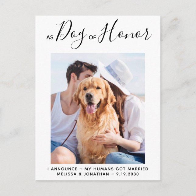 Dog of Honor Just Married Dog Wedding Announcement Postcard (Front)
