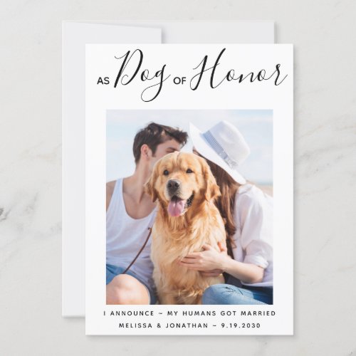 Dog of Honor Just Married Pet Wedding Announcement