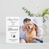 Dog Of Honor Personalized Pet Photo Dog Wedding Save The Date (Standing Front)