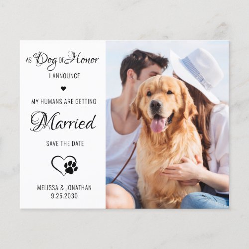 Dog Of Honor Pet Photo Dog Save The Date Cards
