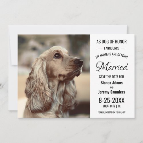 Dog of Honor Pet Photo Wedding Save The Date