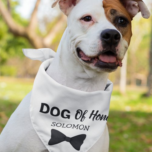 Dog of Honor pet wedding Bandana