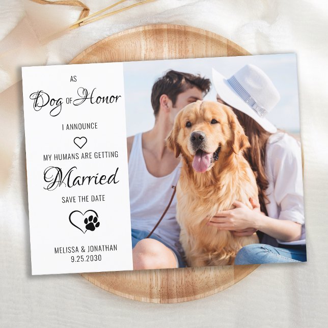Dog Of Honor Pet Wedding Photo Save The Date    Announcement Postcard (Creator Uploaded)