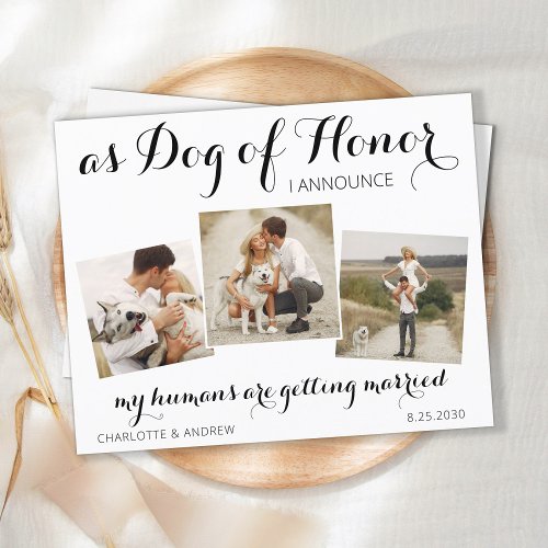 Dog Of Honor Wedding Save The Date Postcard