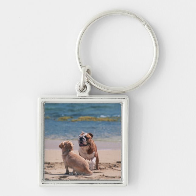 Dog of Sandy Beach Keychain (Front)