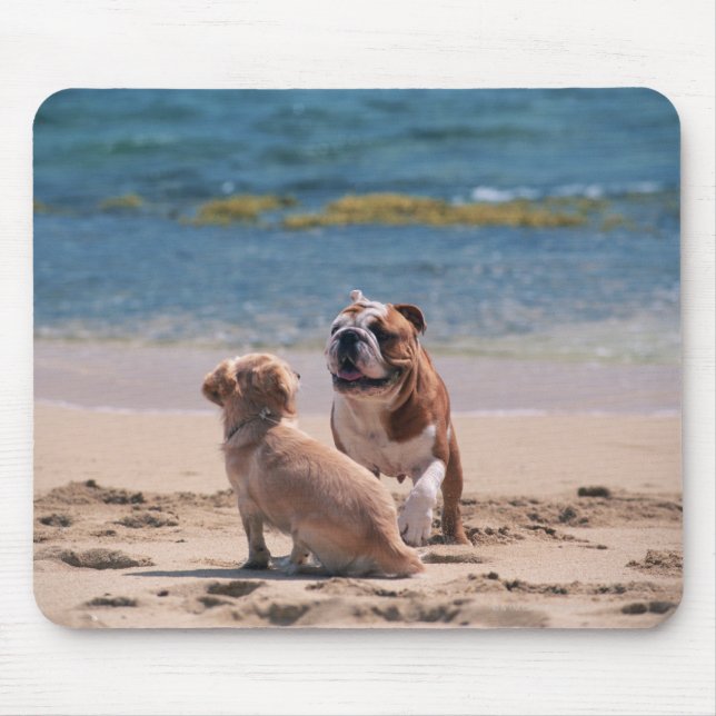 Dog of Sandy Beach Mouse Pad (Front)
