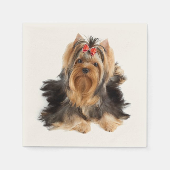 Dog of show class paper napkins (Front)