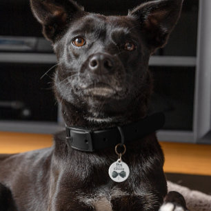Dog of the Groom Dog in Wedding Pet ID Tag