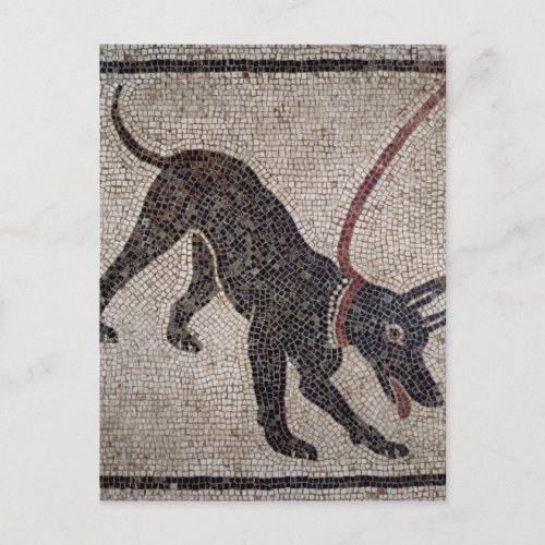 Dog on a leash from Pompeii Postcard