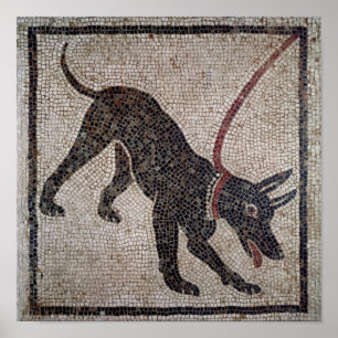 Dog on a leash, from Pompeii Poster