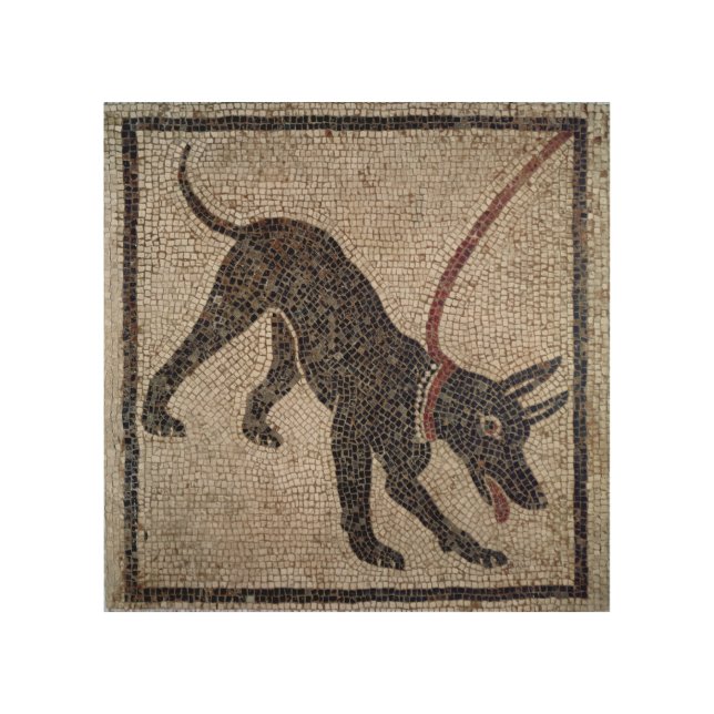 Dog on a leash, from Pompeii Wood Wall Art (Front)