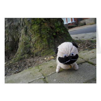 Dog on a Pavement Cards