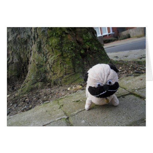 Dog on a Pavement Cards (Front Horizontal)