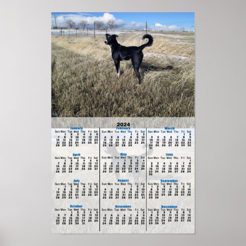 Dog on  Alert 2024 Calendar Poster