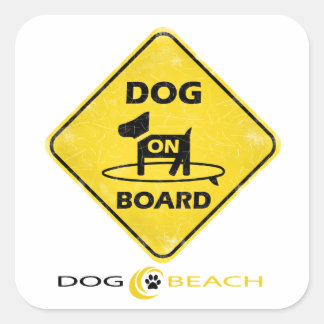 Dog on Board Square Sticker
