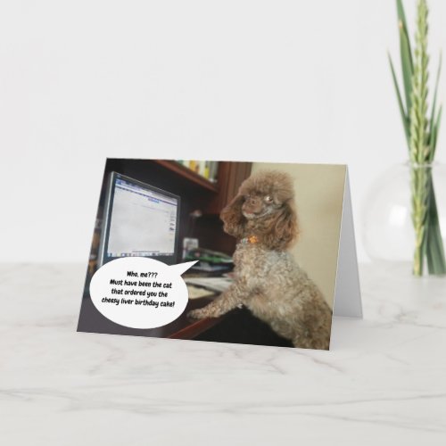 Dog on Computer Blames Cat Funny Birthday Card
