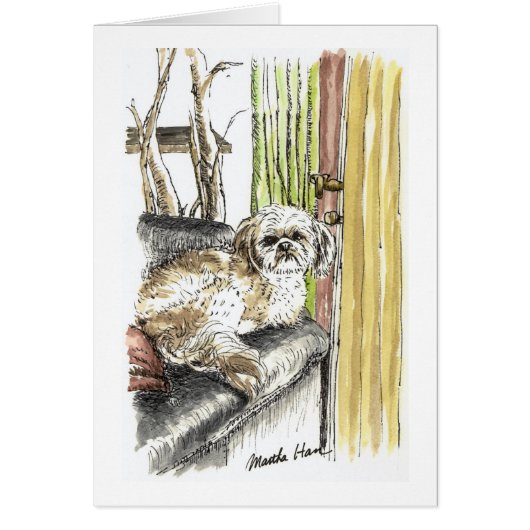 Dog on Couch Cards (Front)