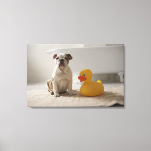 Dog on mat with plastic duck canvas print