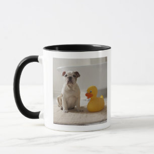 Dog on mat with plastic duck mug