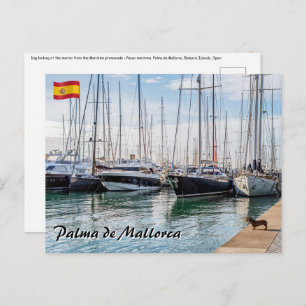 Dog on Paseo maritimo - Palma de Mallorca Postcard