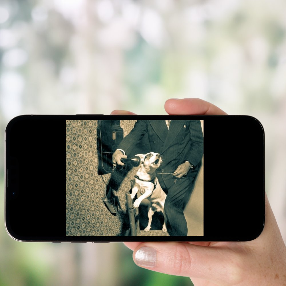 Thumbnail