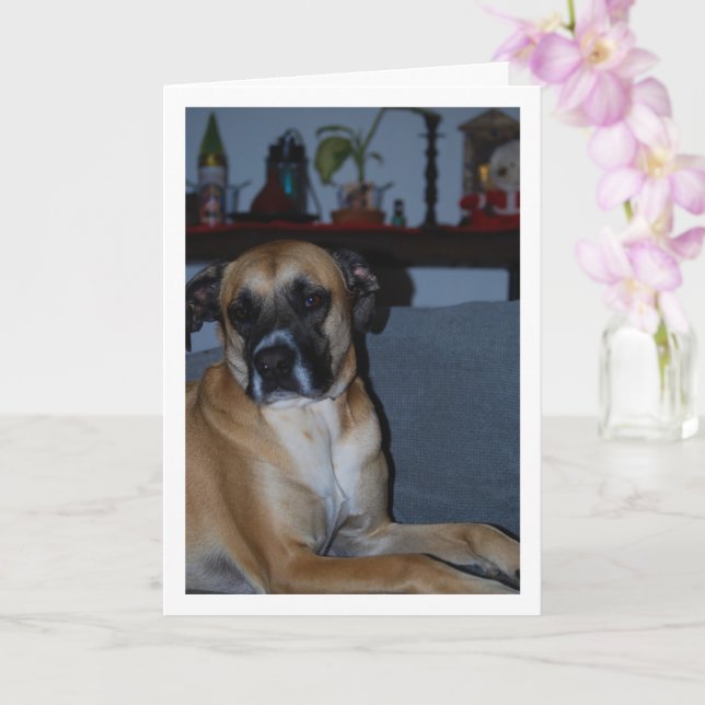 Dog on Sofa Portrait Card (Orchid)