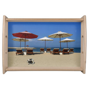 Dog on the beach serving tray