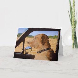 Dog on the Go Card