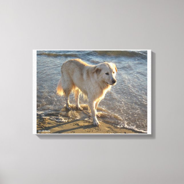 Dog On The Shore Canvas Print (Front)