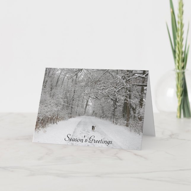 Dog On the Trail Season's Greeting Card (Front)