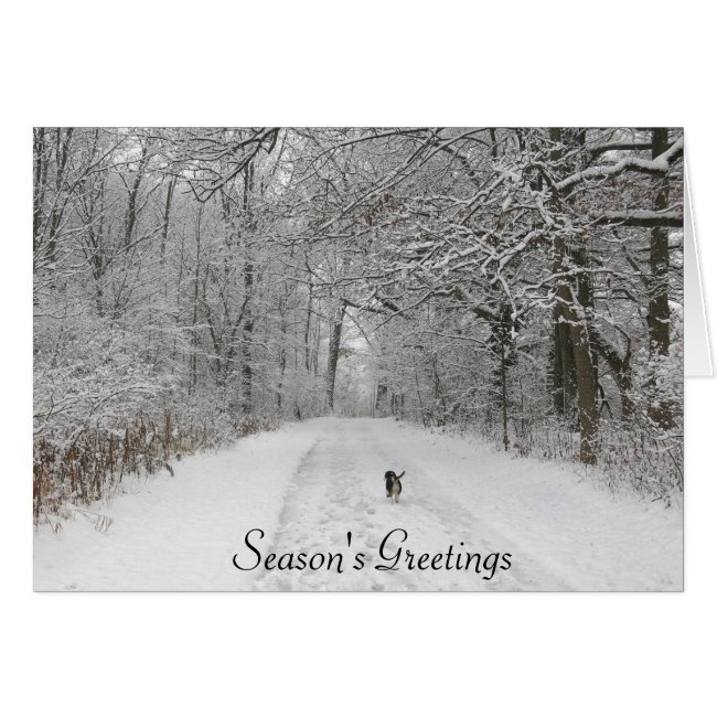 Dog On the Trail Season's Greeting Card