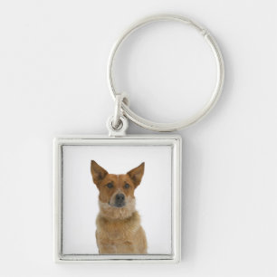 Dog on White 01 Keychain