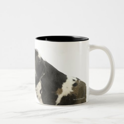 Dog on White 11 Two_Tone Coffee Mug